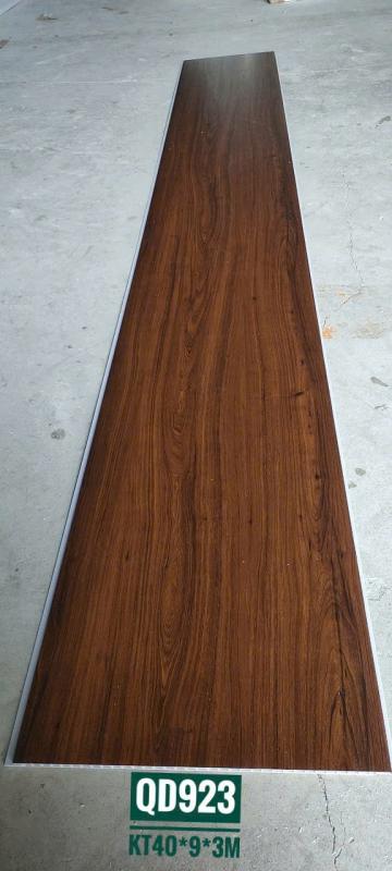 Nhựa Ốp Tường Nano Mã QD-923